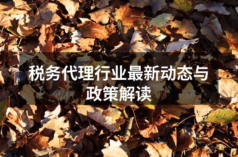 税务代理服务提升企业管理效率