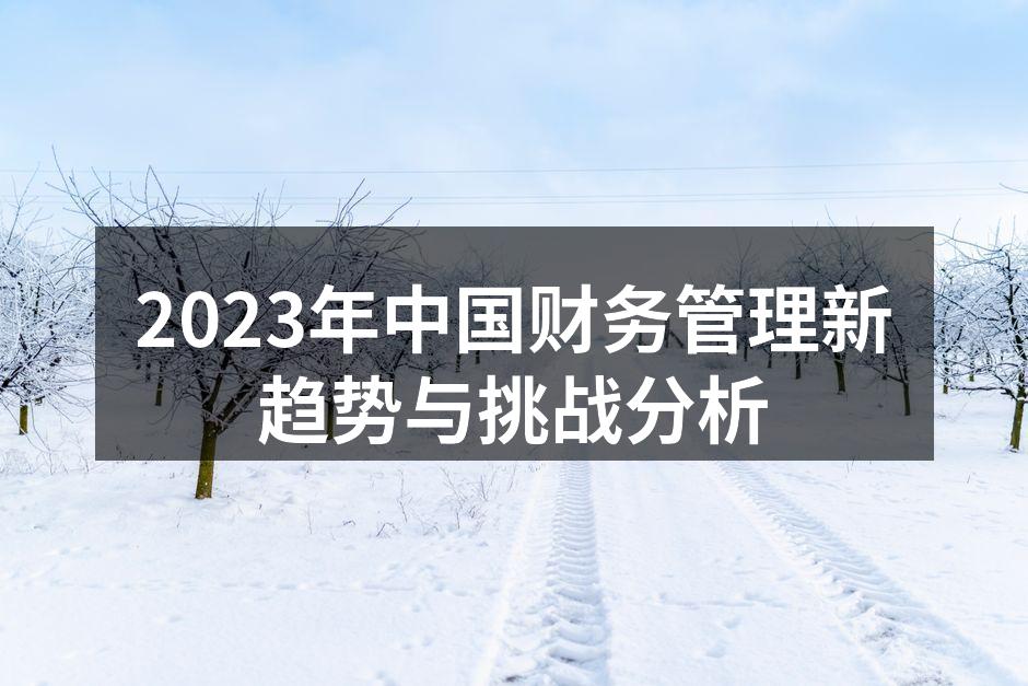 2023年中国财务管理新趋势与挑战分析