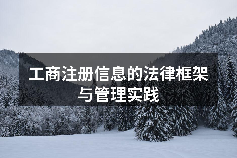 工商注册信息的法律框架与管理实践