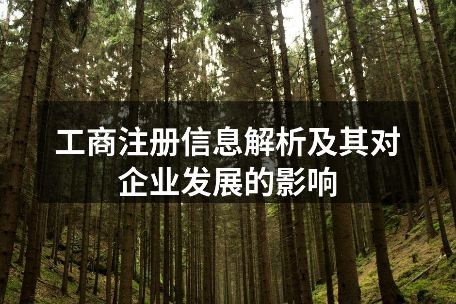 工商注册流程示意图