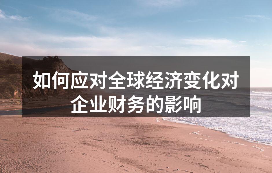 如何应对全球经济变化对企业财务的影响