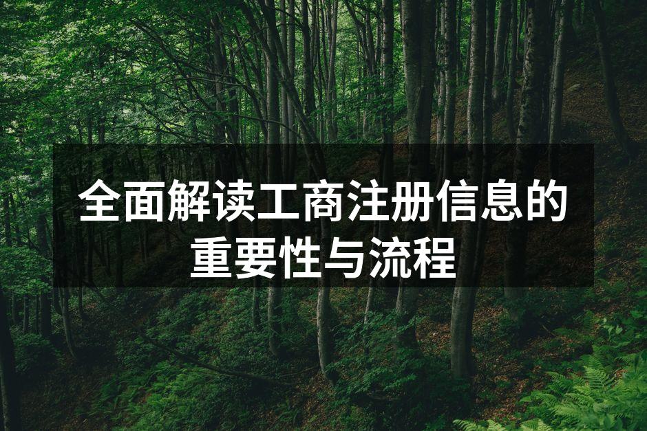 全面解读工商注册信息的重要性与流程