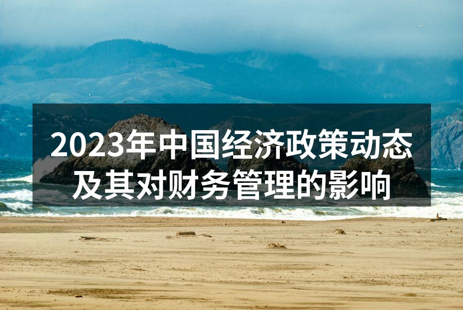2023年中国经济政策动态及其对财务管理的影响