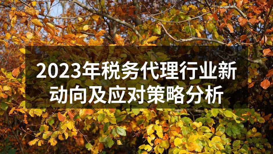 2023年税务代理行业新动向及应对策略分析