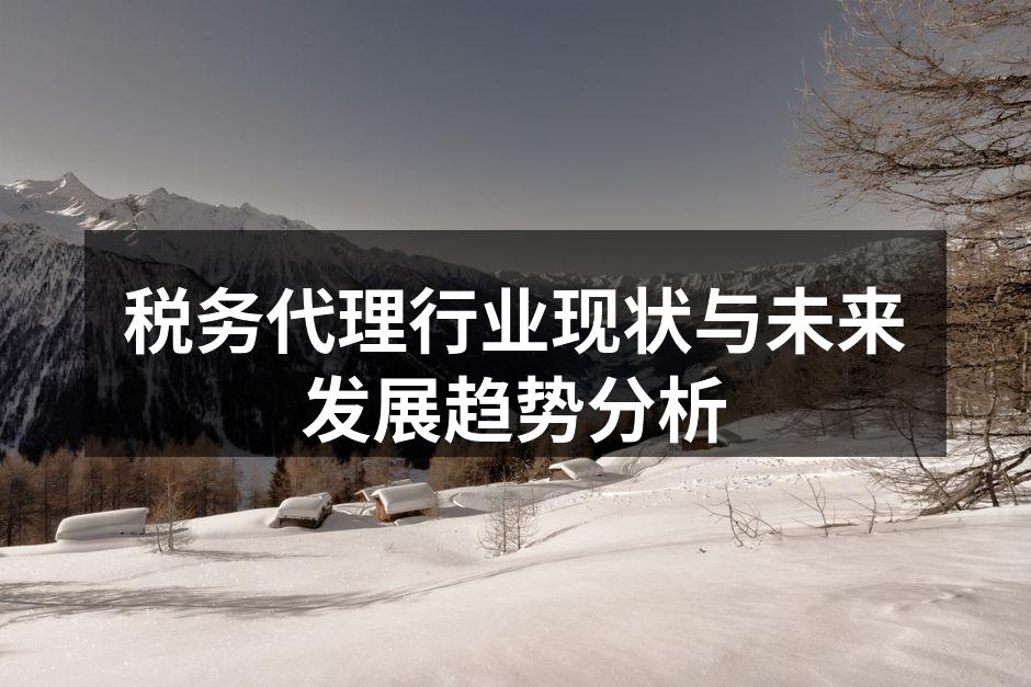 税务代理行业现状与未来发展趋势分析