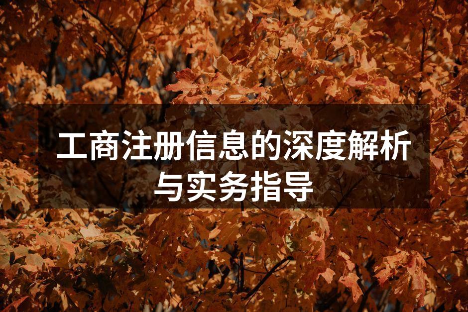 工商注册信息的深度解析与实务指导
