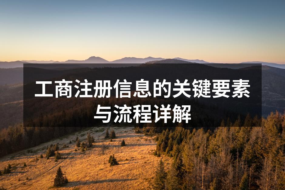 工商注册信息的关键要素与流程详解
