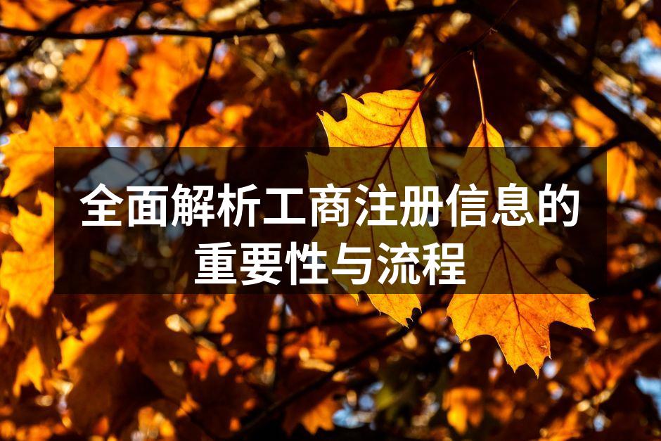全面解析工商注册信息的重要性与流程
