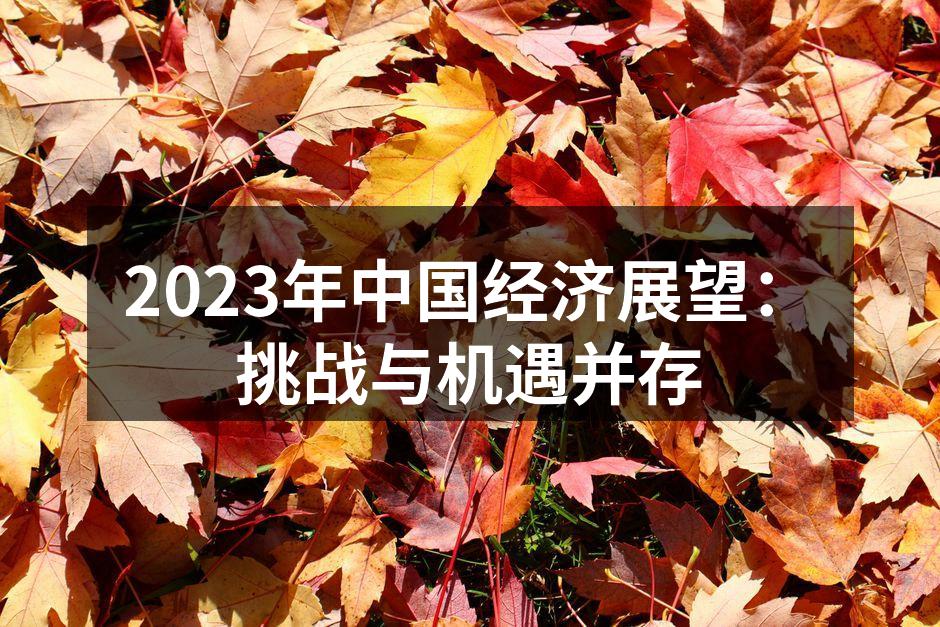 2023年中国经济展望：挑战与机遇并存